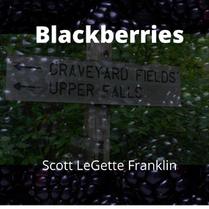 Blackberries