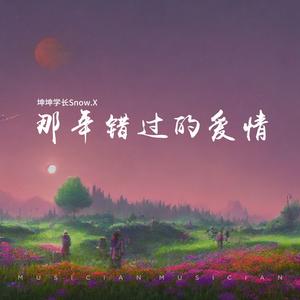 那年错过的爱情