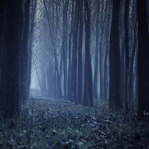 Craig David-Insomnia（WOLF / P.D remix）