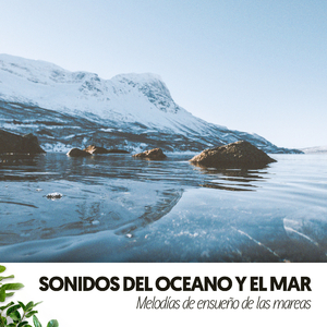 Olas de islas lejanas