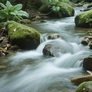 我用情付出流水 (郭小成 Remix)