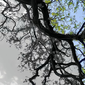 承诺只在爱时作数