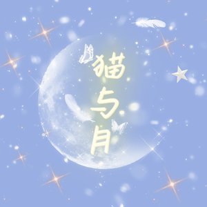 猫与月