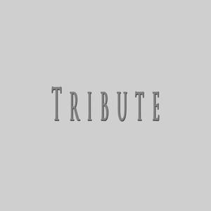 Tribute (feat. Lykan)