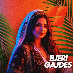BJERI GAJDES