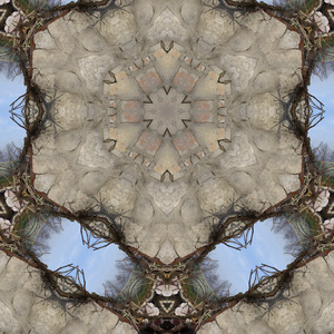 Subtle drones emerge, surreal and stark