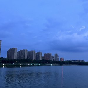 借半阕残谱
