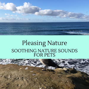 Discover The Fire Sound