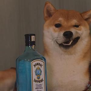 广东雨神-广东爱情故事（DJ令先森 remix）