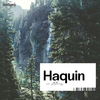 Haquin - The Man & His Crows