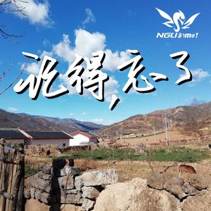 记得，忘了(Remembered, forgot)