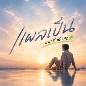 แผลเป็น