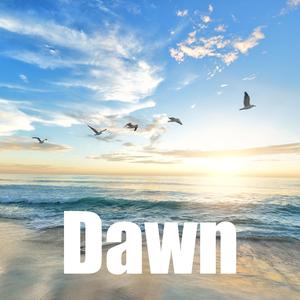 Dawn - Contemporary Instrumental with Soft Arpeggio