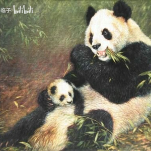 熊猫咪咪