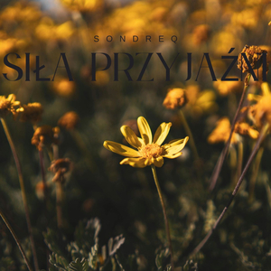 Siła Przyjaźni