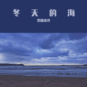 冬天的海