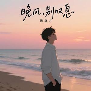 晚风，别叹息