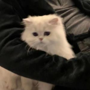 坏女孩-完整版(万人合唱版)