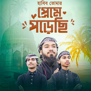 Habib Tomar Preme Porechi