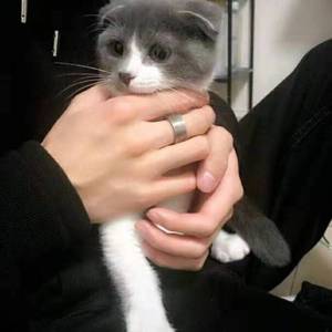 兄弟，放下吧（洛天 remix）