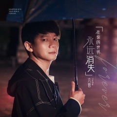 在你的世界永远的消失 (DJ欧东 Electro)