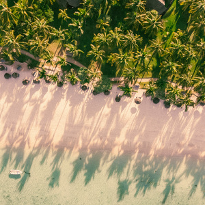 Contemplative Corner