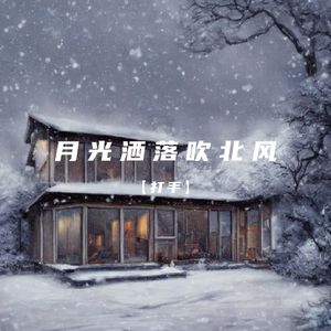 月光洒落吹北风