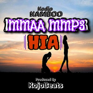 Mma P3 Hia