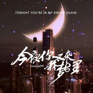 今夜你又来我梦里（卧室版）