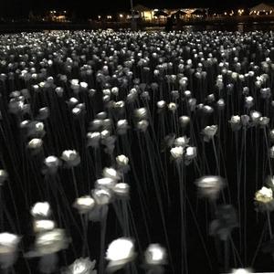 君にとっては取り留めのない記憶だから