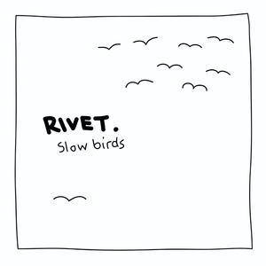 Slow Birds