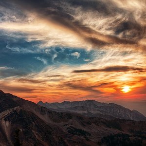 旅行者的宇宙抉择