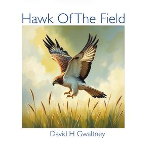 The Red Dragon (y ddraig goch)