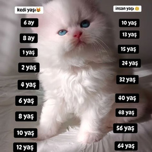 Fair Trade (Slowed + Reverb)