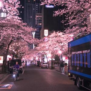 画画的baby（翻自 黑猫警长Giao哥）