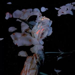 我们的纪念-cover李雅微