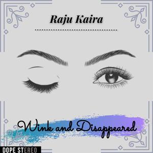 Wink and Disappeared