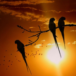 兄弟晚上一起约个局啊