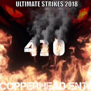 Go Hard (feat. Audio Architect)