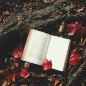 【FREE】六月中旬