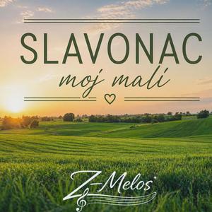 Slavonac moj mali