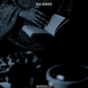 优美长篇小说器乐