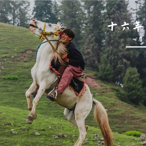 心虞谣 Ballad of the Valiant Heart