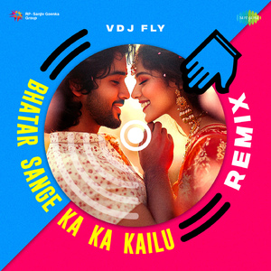 Bhatar Sange Ka Ka Kailu - Remix