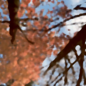 NOVEMBER