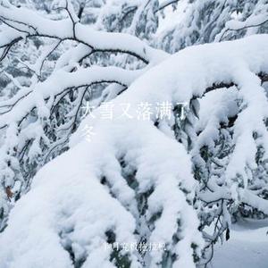 大雪又落满了冬 (Cover 大头针official)