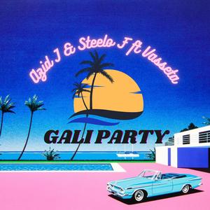 Gali Party (feat. Steelo F & Vasseta)