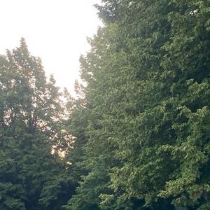 Slime (feat. Sero & CDx6)