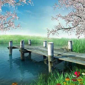 迷人的石榴裙下