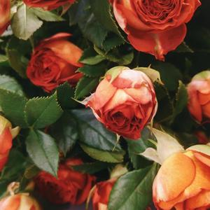 这一天我什么都不想干